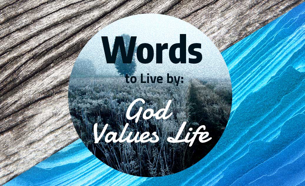 Words to Live by: God Values Life